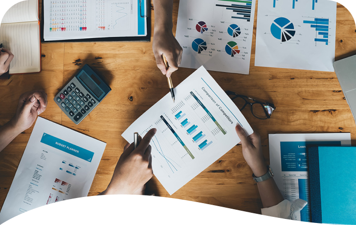 Professional Accounting Services